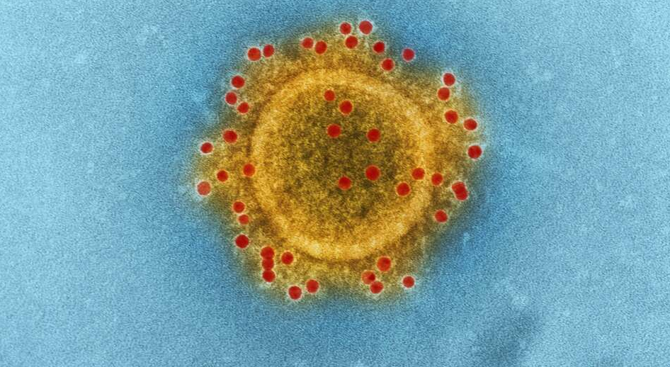Beredskap ved Koronavirus-utbrudd i Franzefoss Gjenvinning